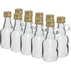 Galonik-pudel 40 ml korgiga, 10 tk. ['Galonik', ' Galonik-pudel', ' alkoholipudel', ' likööripudel', ' taskukolb likööripudel']