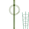 Rõngastikuga taimetugi, 3 rõngast, 0,5 m ['taimetugi', ' põõsaste rõngastugi', ' aiatugi', ' roositugi', ' aiapergola', ' taimeklamber', ' taimetoes', ' lilletugi', ' potitaimede tugi', ' hortensiatugi', ' aedmustikate tugi', ' ronitaimede tugi', ' roheline taimetugi', ' tumeroheline taimetugi', ' rõngastega terasest taimetugi']