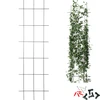 Taimetugi - aiavõre 150 x 45 cm ['taimetugi', ' põõsastele mõeldud võre', ' aiatugi', ' aiapergola', ' taimede võre', ' taimede tugi', ' lilletugi', ' aedtaimede tugi', ' luuderohu tugi', ' terasest tugi', ' seinale kinnitatav tugi', ' ronitaimede tugi', ' roosipõõsaste tugi', ' must tugi', ' millist taimetuge valida', ' hoolitsetud aed', ' ronitaimede võre', ' rooside tugi', ' luuderohu tugi', ' roosipõõsastele', ' metallist lilletoed', ' aiatarvikud', ' kuidas taimede eest hoolitseda', ' soovitatavad taimetoed', ' võrekujuline tugi', ' müüri külge kruvitav tugi']