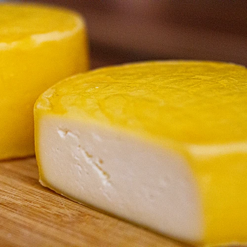 Bakterikultuurid Gouda juustu jaoks - 5