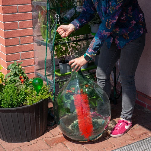 Balloonpudelite pesuhari - suur - 3