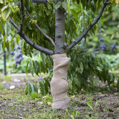 Džuudikangas 20 cm / 5 m - 5