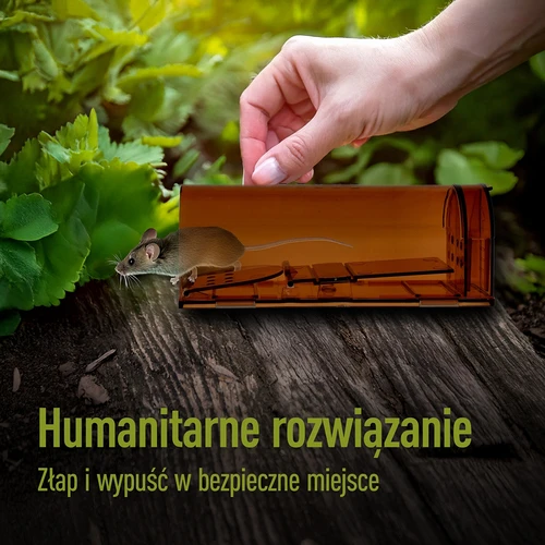 Hiirelõks – eluspüünis, läbipaistev, 2 tk. - 7
