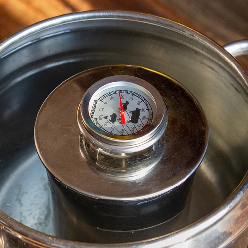 Liha küpsetustermomeeter (0 °C kuni +120 °C) 12,5 cm - 12
