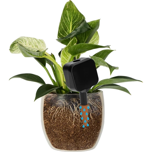 Taimede niisutaja – must tahvlikujuline silt keraamilise jalakesega, 200 ml - 6