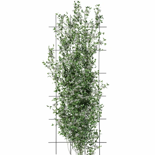 Taimetugi – aiavõre 150 x 60cm - 3