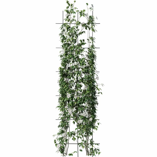 Taimetugi - võre (150cm x 45cm) 3 tk - 3