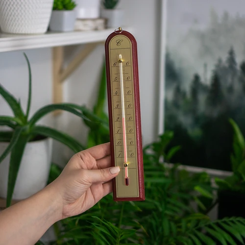 Toatermomeeter kuldse skaalaga (-10 °C kuni +60 °C) 28 cm, assortii - 6
