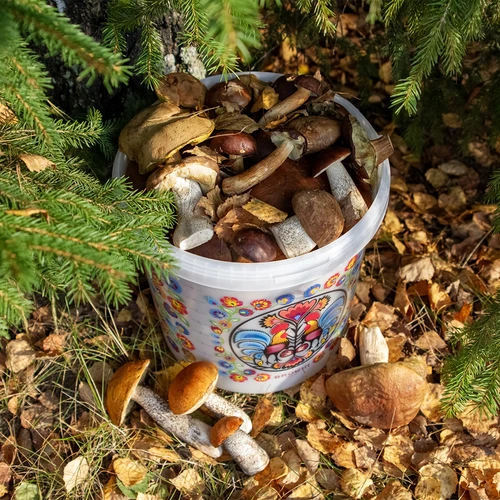 Toidukindel ämber GWIOZDA - kaanega, 10 L - 10