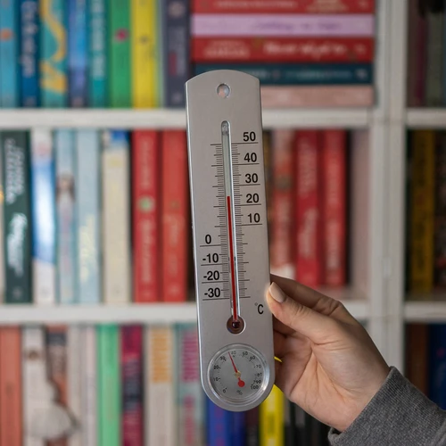 Universaalne hõbedane termomeeter hügromeetriga (-30°C kuni +50°C) 25 cm - 3