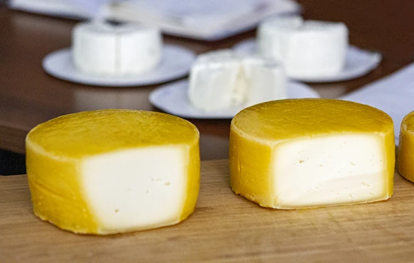 Kodune Gouda-tüüpi kollane juust