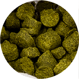Õllepruulimine